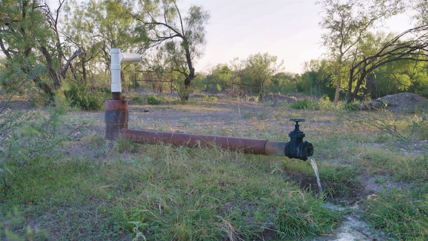 0 Ranch To Market 3008 Ranch Brackettville, TX 78832 - Photo 30 of 40 a big yard with lots of green space and plants