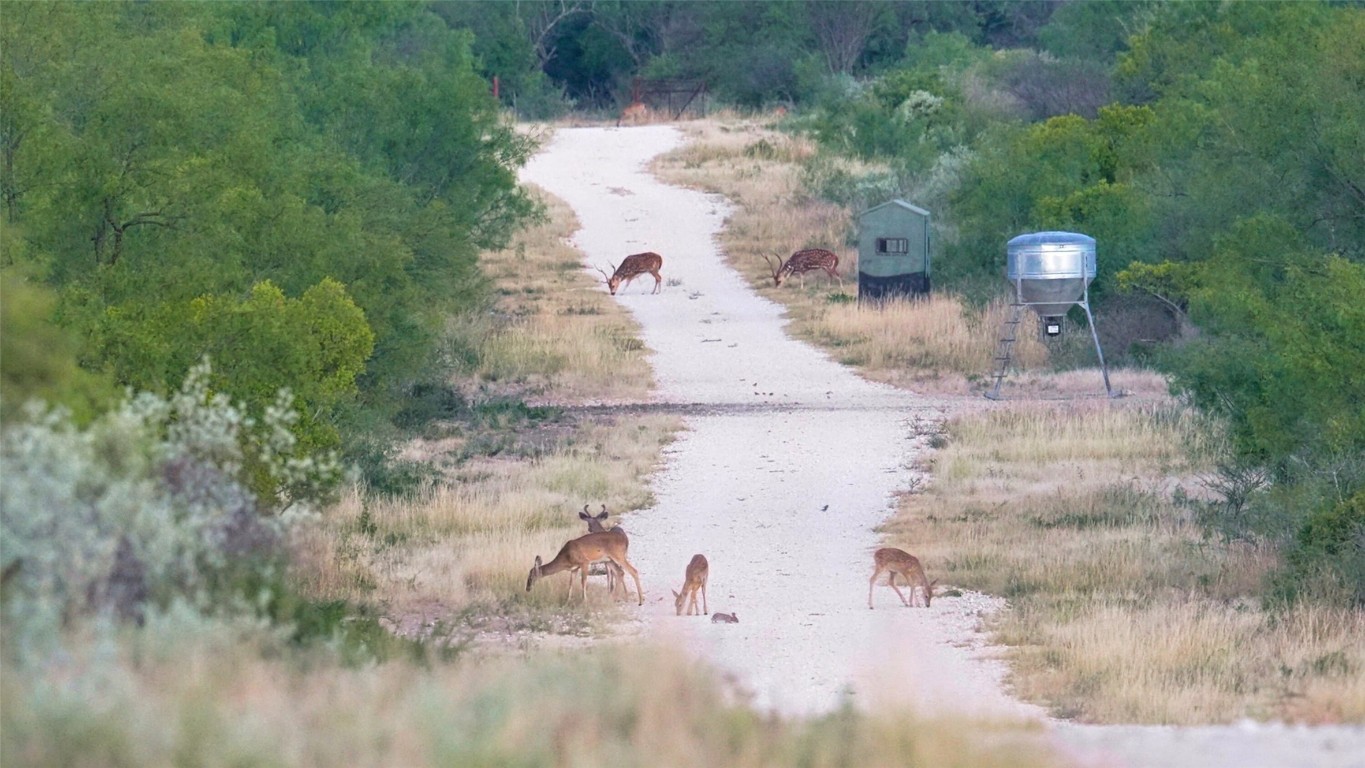 0 Ranch To Market 3008 Ranch Brackettville, TX 78832 - Photo 3 of 40 a close view of tap
