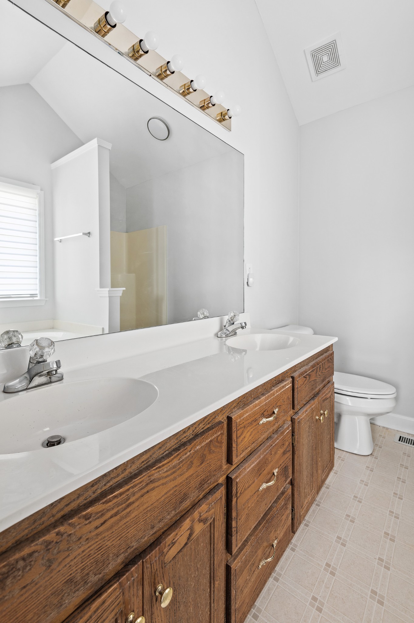 2849 Cochran Trace Drive Spring Hill, TN 37174 - Photo 20 of 27 a bathroom with a sink a toilet and a mirror