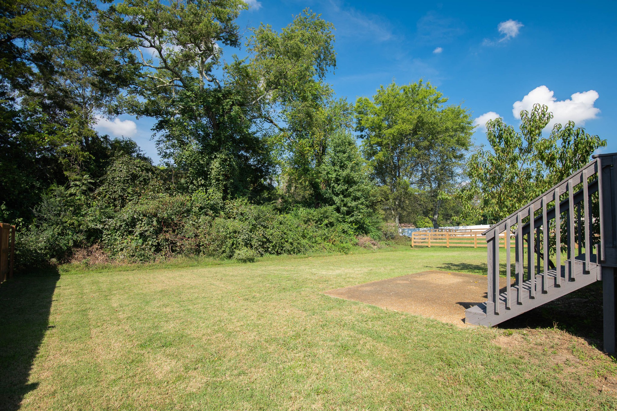 2849 Cochran Trace Drive Spring Hill, TN 37174 - Photo 24 of 27 a view of yard with green space