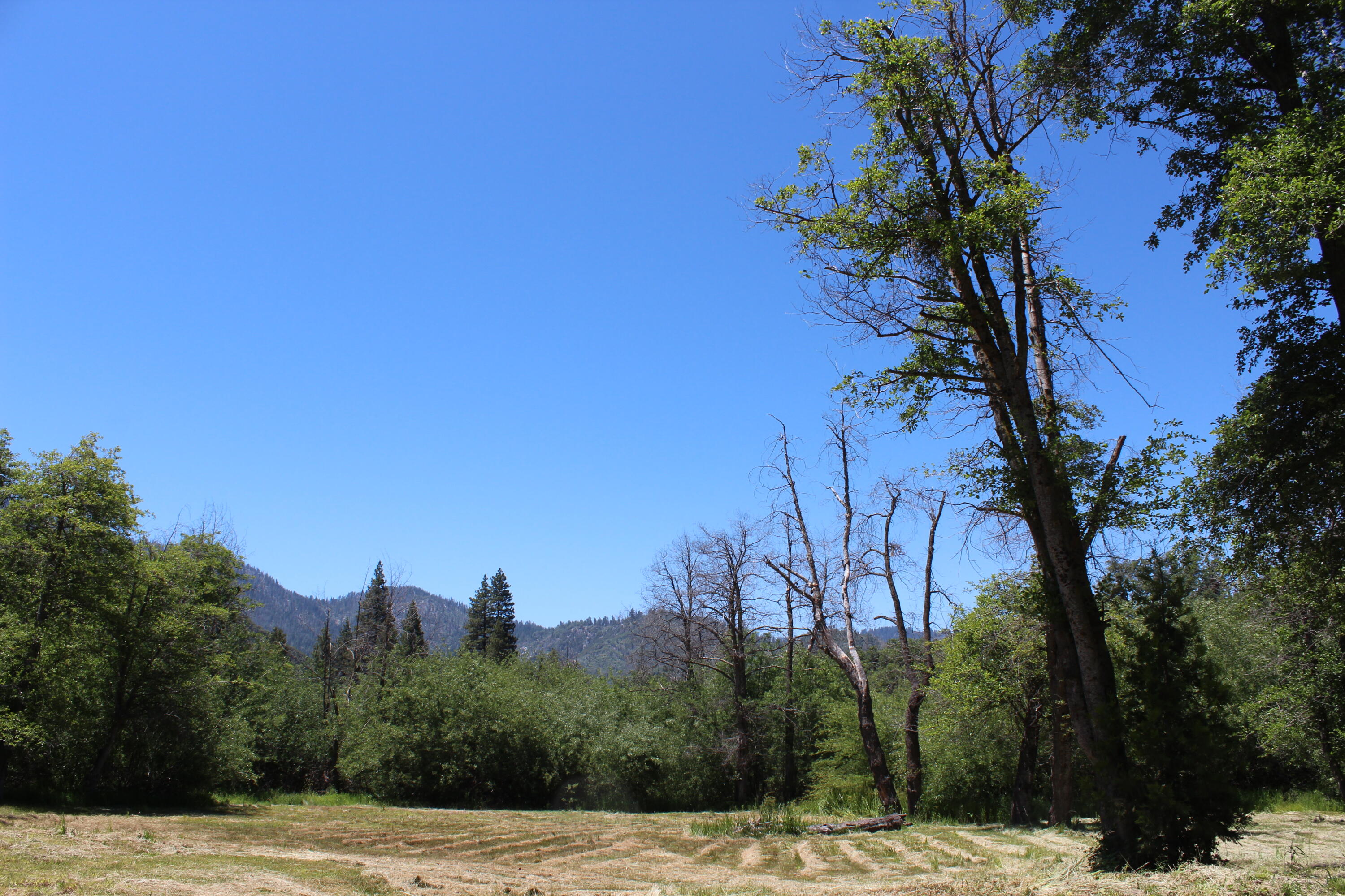 2101 Nelson Drive Springville, CA 93265 - Photo 56 of 59
