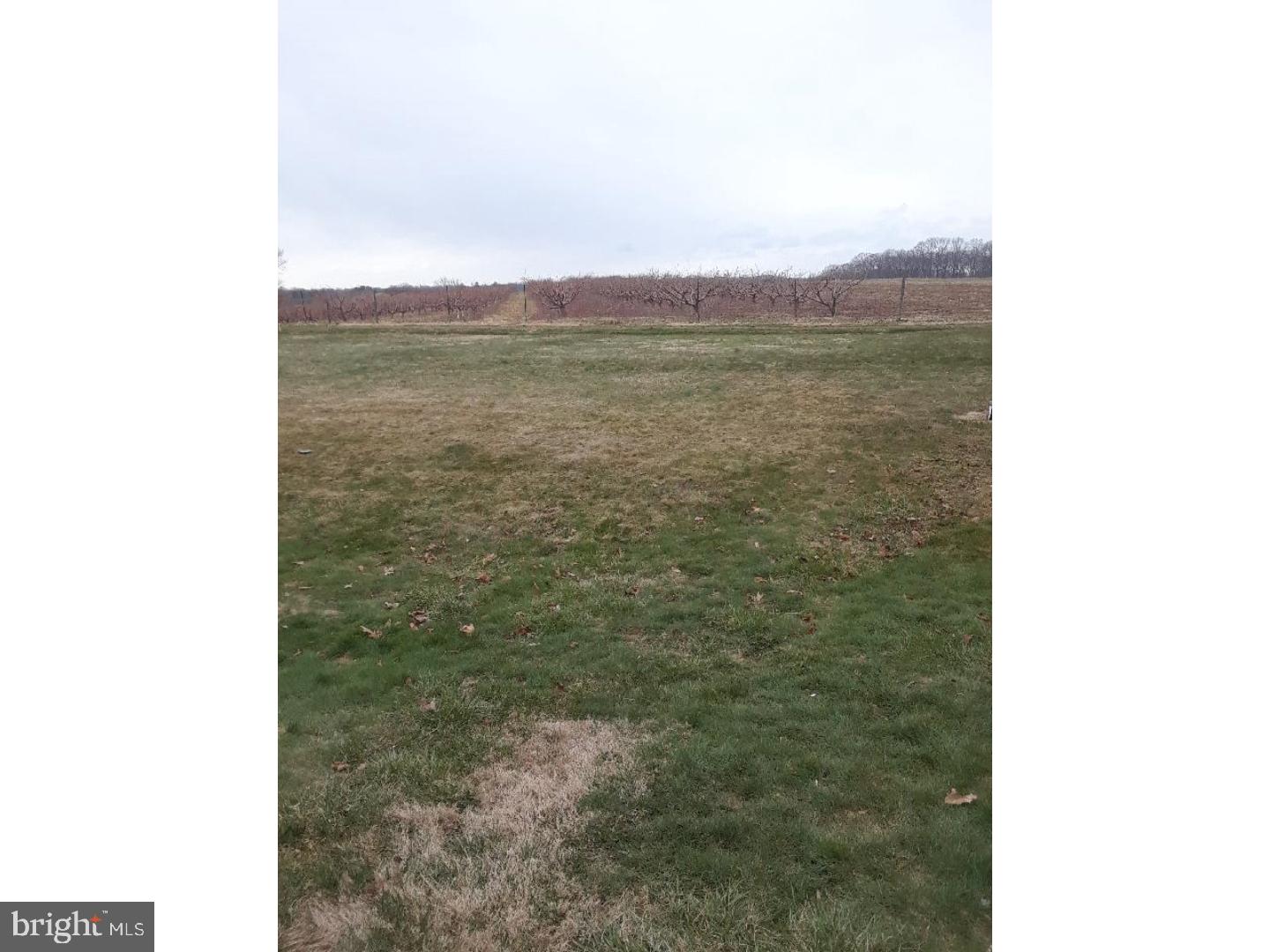 522 South New Middletown Road Media, PA 19063 - Photo 4 of 20