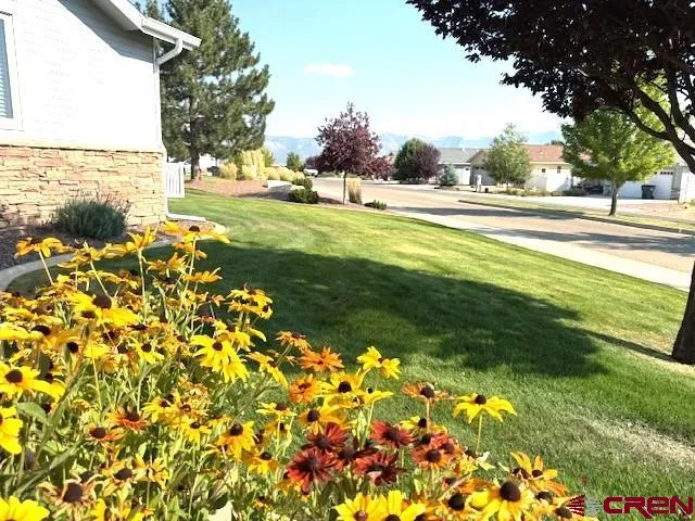 a view of a yard with an outdoor space