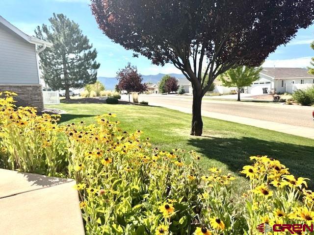 802 Bluffs Boulevard Cortez, CO 81321 - Photo 22 of 30 a view of yard with fountain in front of house