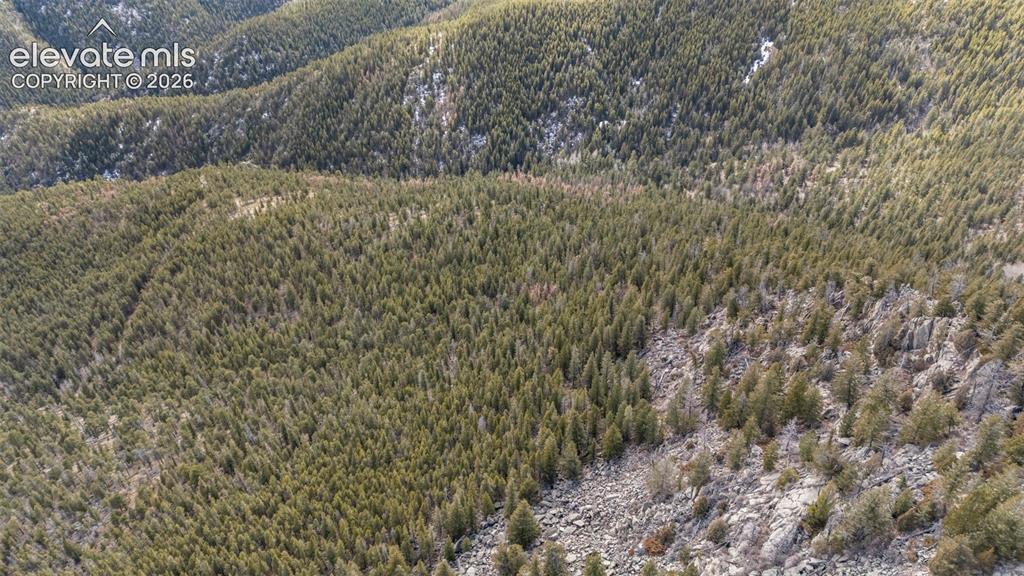 Alps Mountain Road Idaho Springs, CO 80452 - Photo 5 of 7