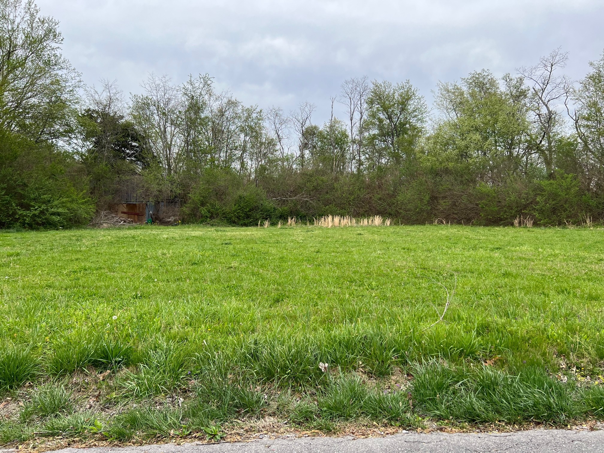 0 Smith Road Smithville, TN 37166 - Photo 3 of 3 Gallery Image 3