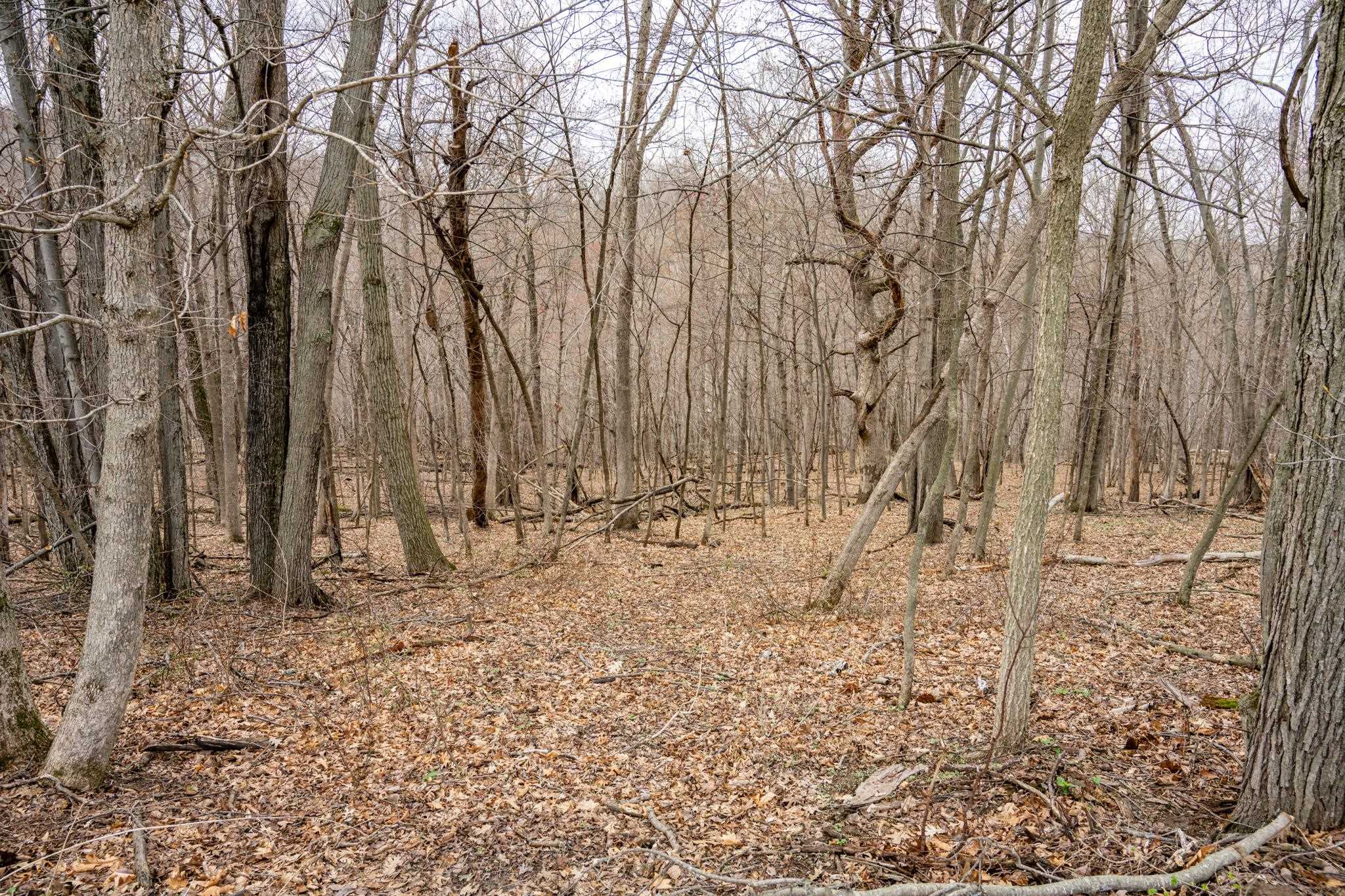 N1027 Gavin Road Mauston, WI 53948 - Photo 11 of 30