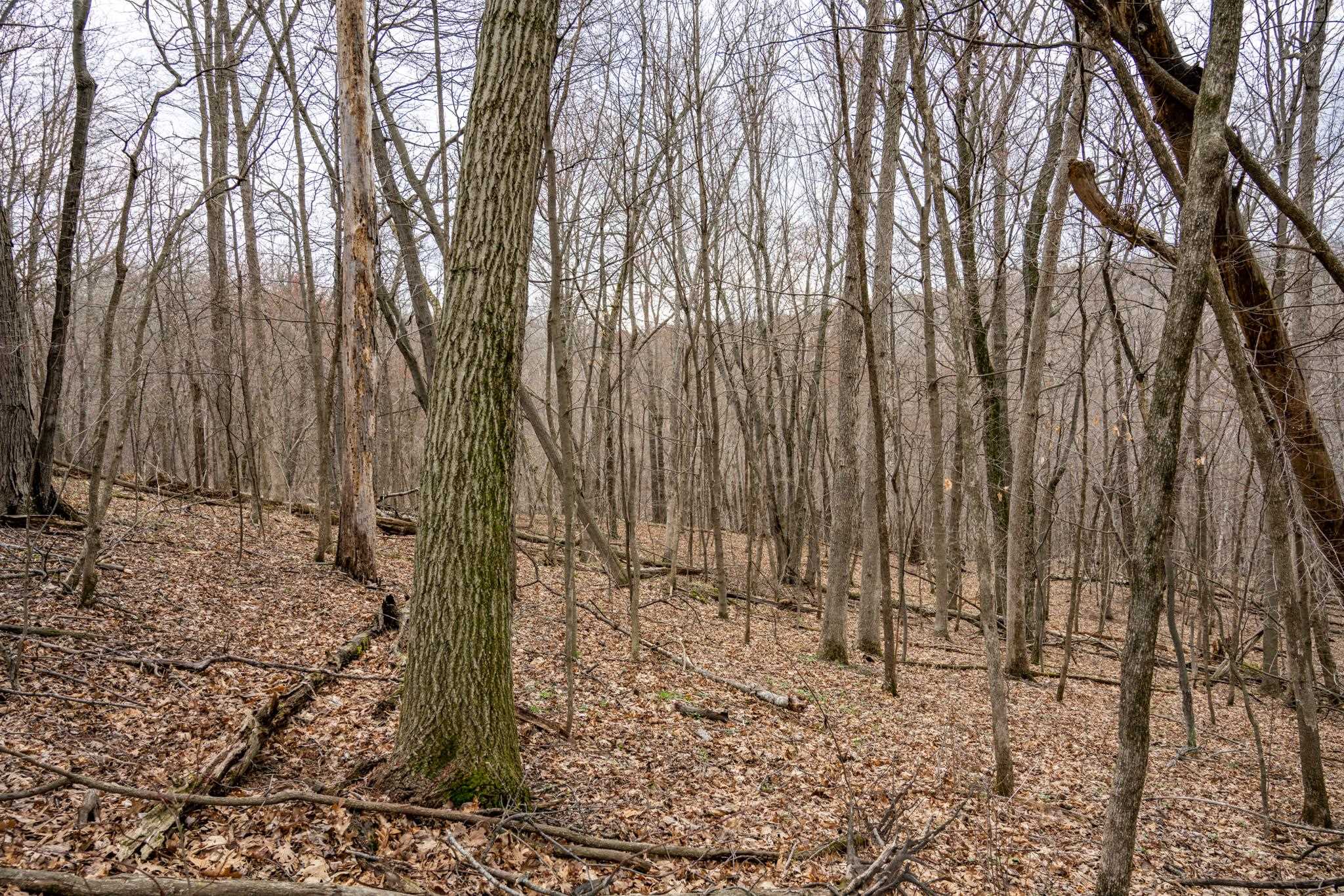 N1027 Gavin Road Mauston, WI 53948 - Photo 12 of 30