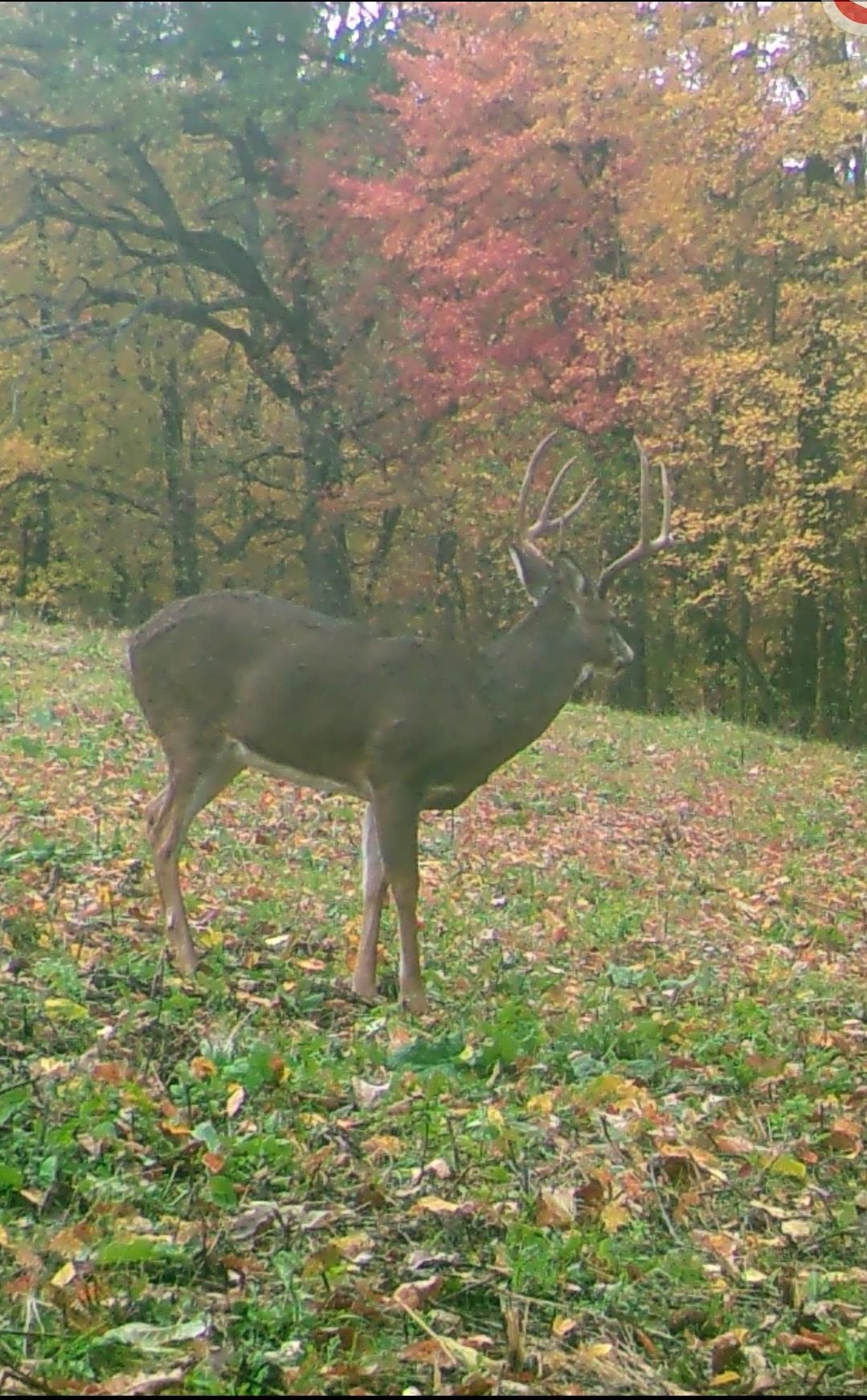 N1027 Gavin Road Mauston, WI 53948 - Photo 27 of 30
