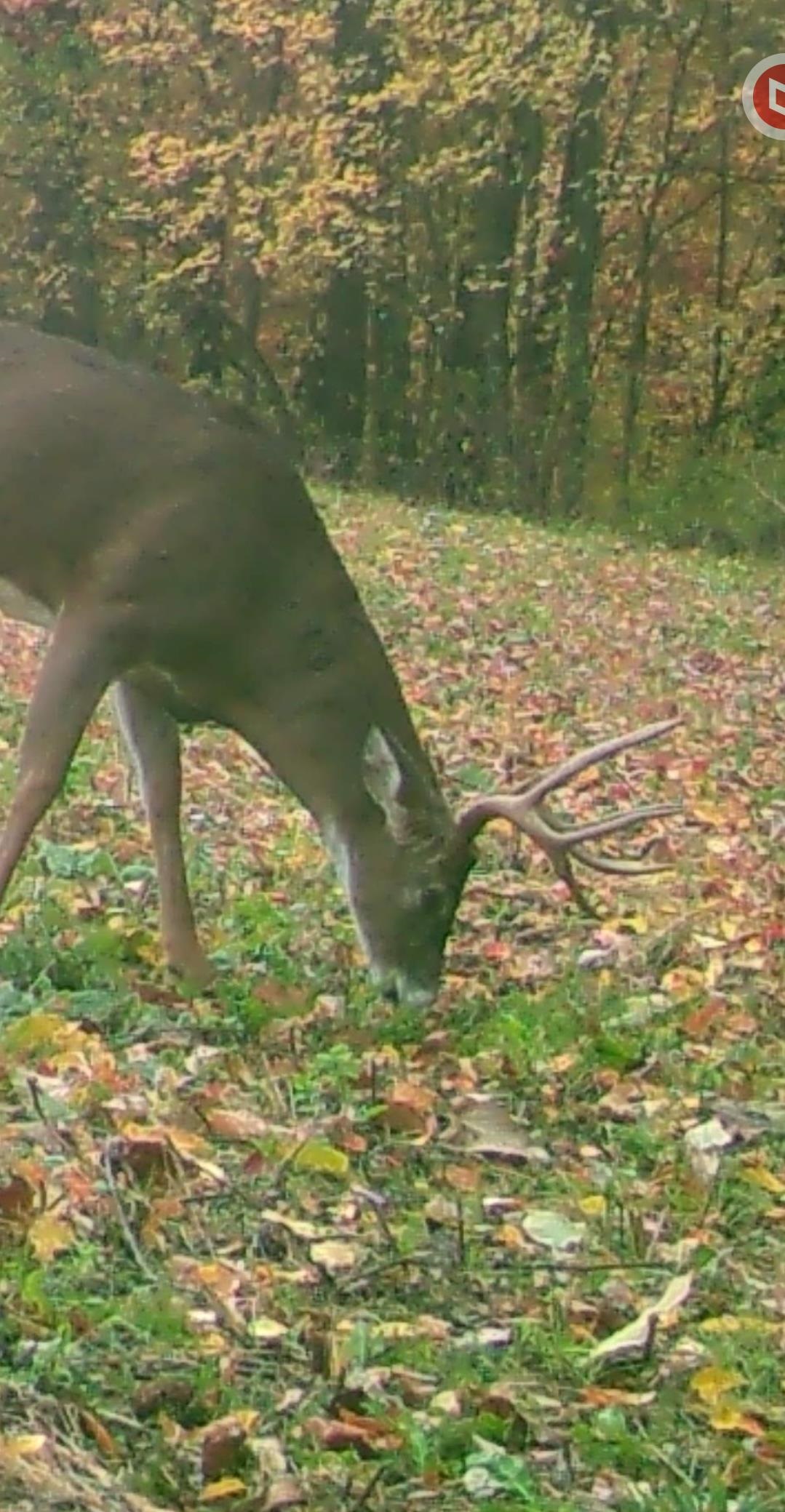 N1027 Gavin Road Mauston, WI 53948 - Photo 28 of 30