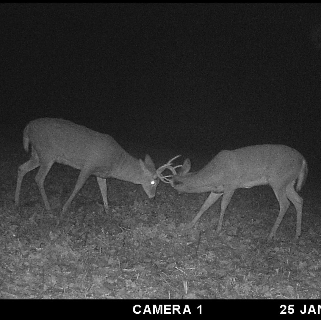 N1027 Gavin Road Mauston, WI 53948 - Photo 29 of 30