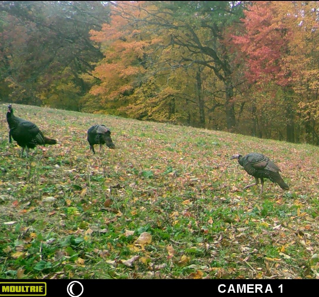 N1027 Gavin Road Mauston, WI 53948 - Photo 30 of 30