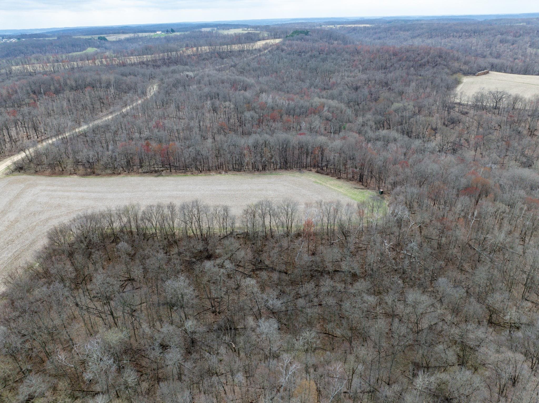 N1027 Gavin Road Mauston, WI 53948 - Photo 4 of 30