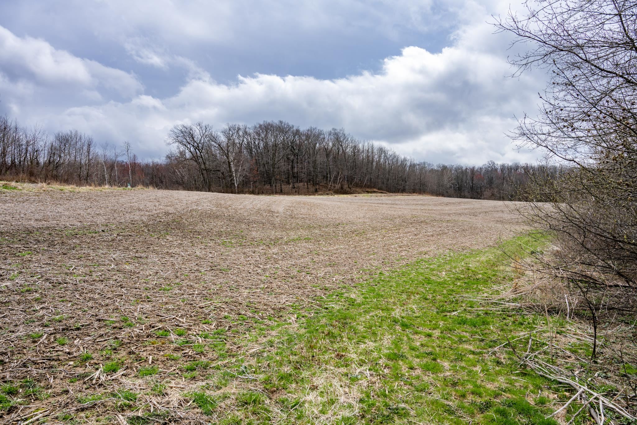 N1027 Gavin Road Mauston, WI 53948 - Photo 5 of 30
