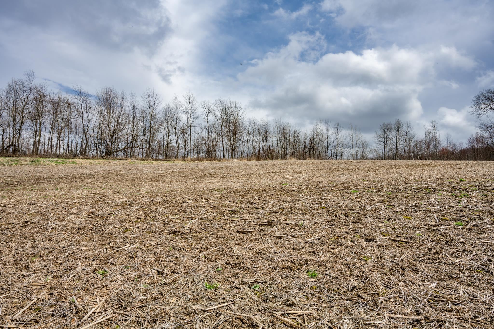 N1027 Gavin Road Mauston, WI 53948 - Photo 6 of 30