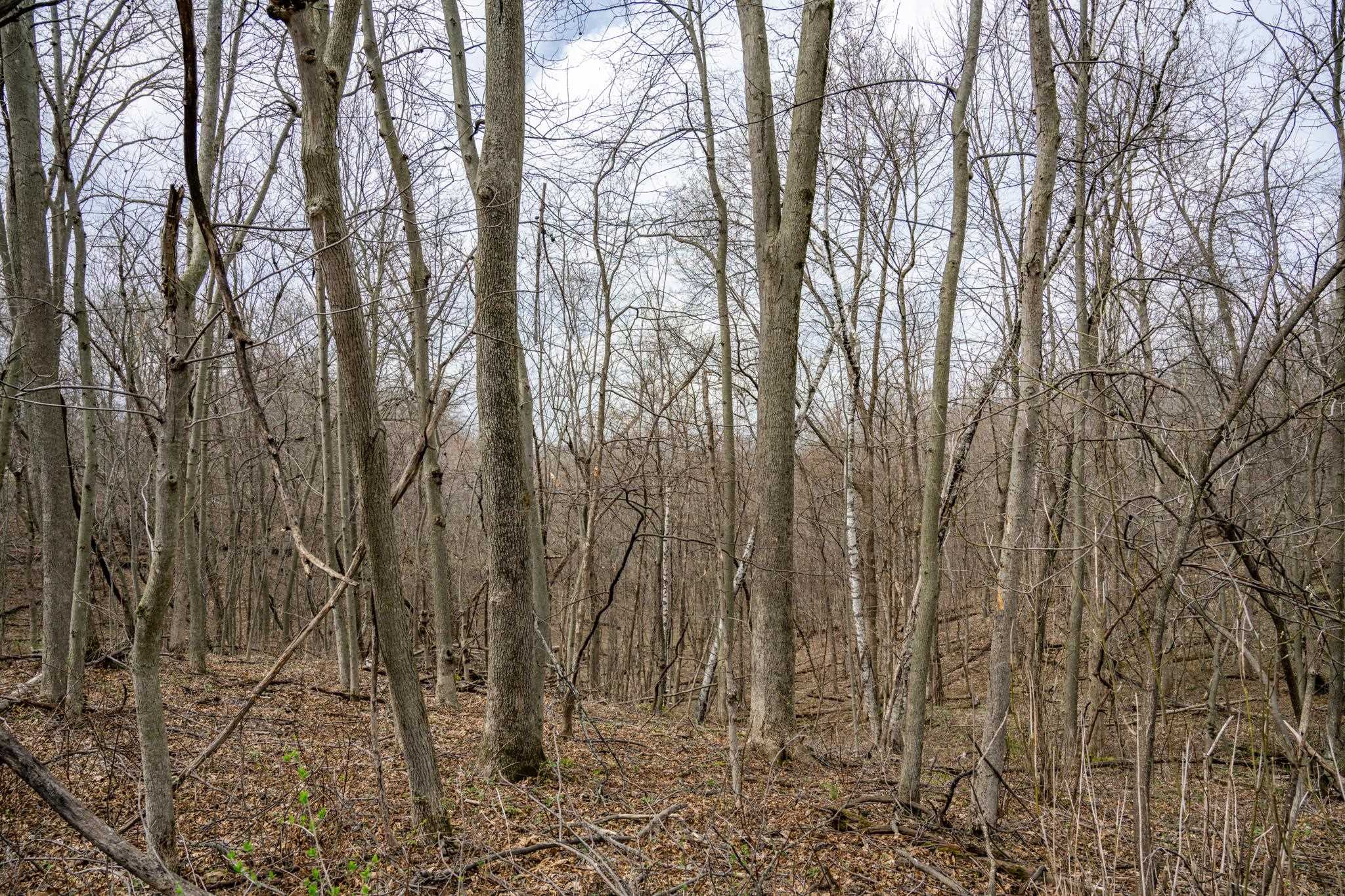 N1027 Gavin Road Mauston, WI 53948 - Photo 7 of 30