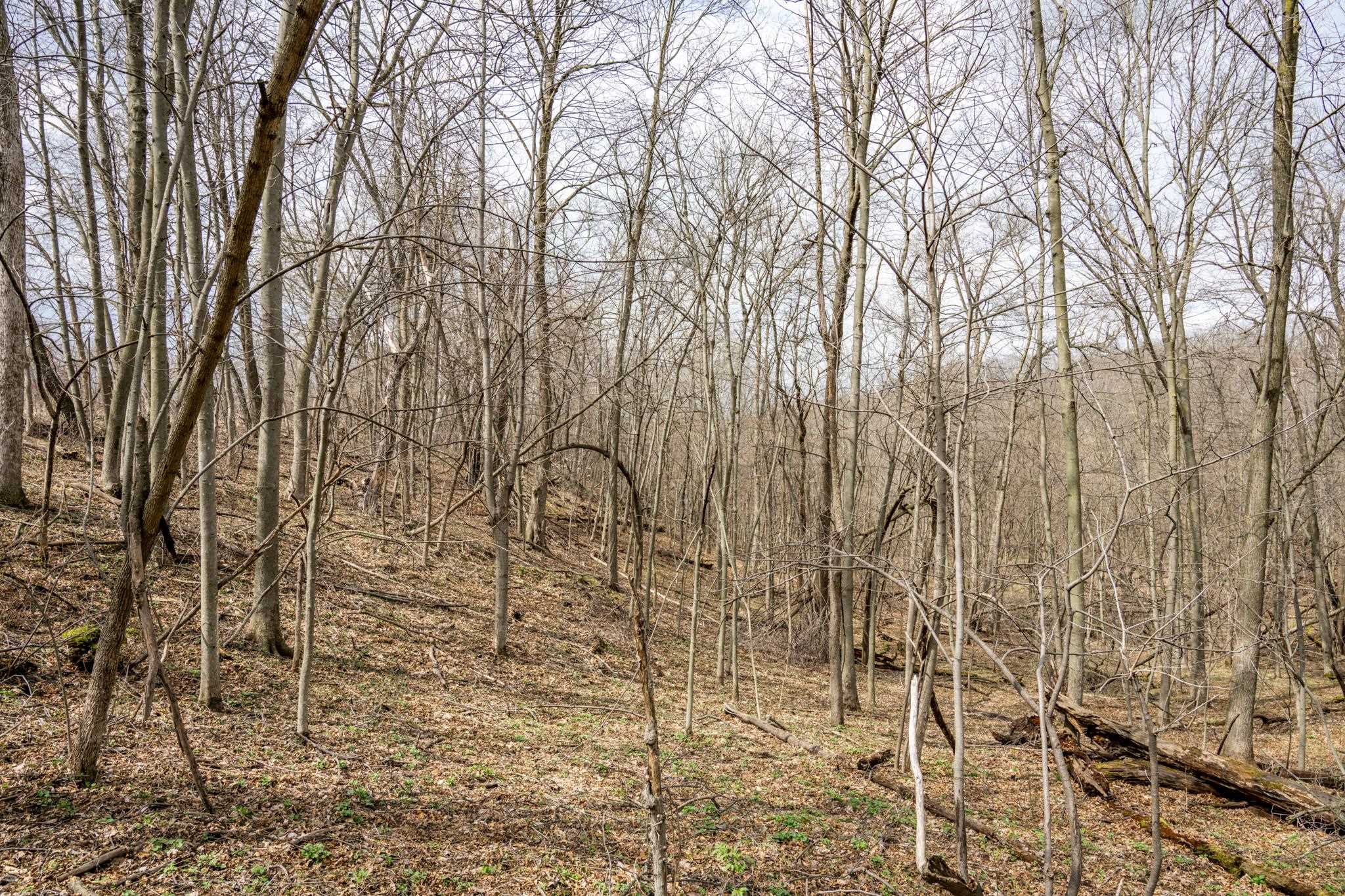 N1027 Gavin Road Mauston, WI 53948 - Photo 8 of 30