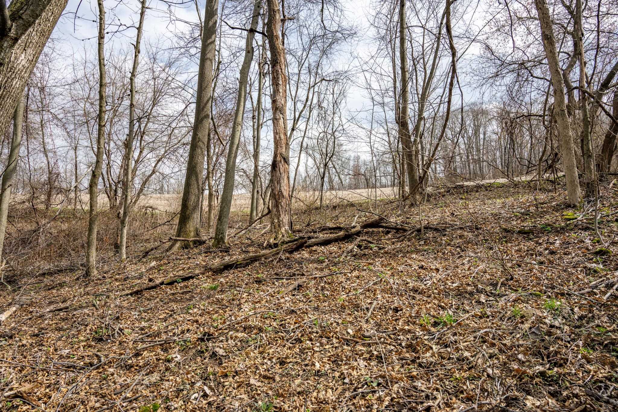 N1027 Gavin Road Mauston, WI 53948 - Photo 9 of 30