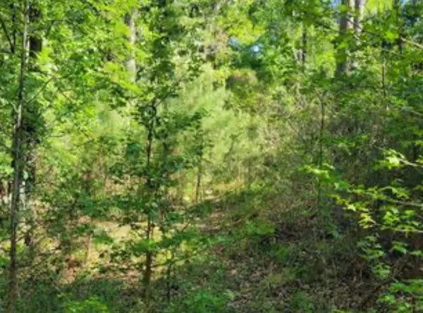 $15,000 | 0 Winding Crk Drive, Trinity, TX 75862