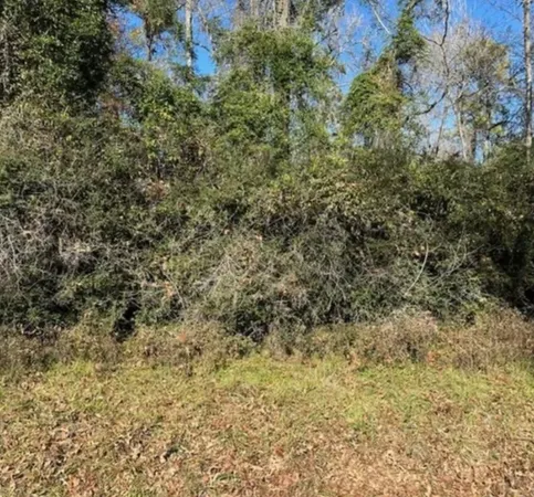 $15,000 | 0 Winding Crk Drive, Trinity, TX 75862