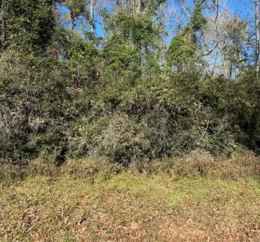 $15,000 | 0 Winding Crk Drive, Trinity, TX 75862