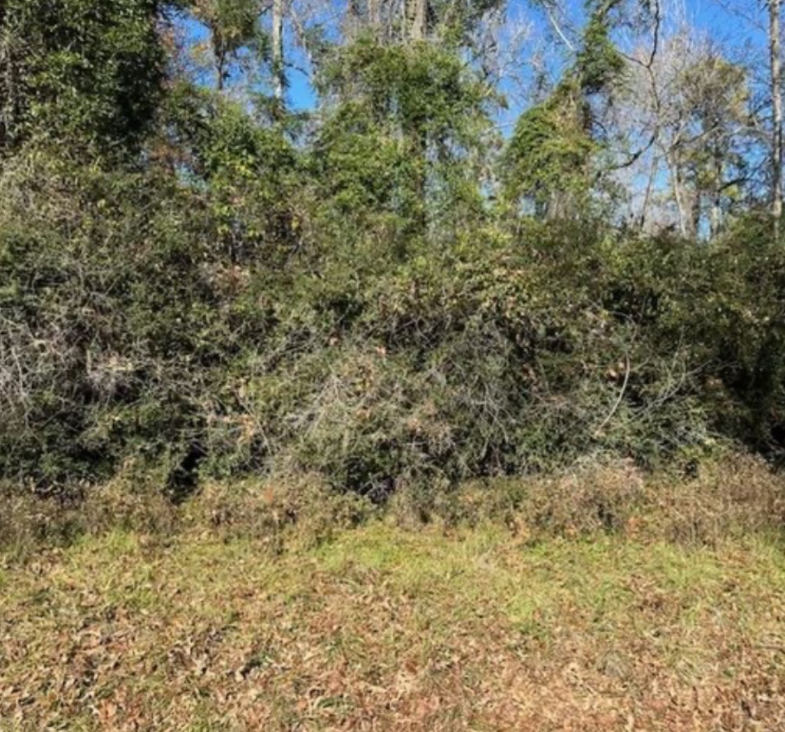 0 Winding Crk Drive Trinity, TX 75862 - Photo 2 of 6