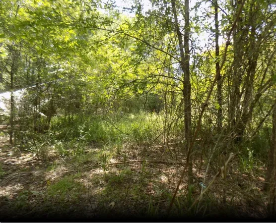 $15,000 | 0 Winding Crk Drive, Trinity, TX 75862