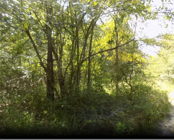 $15,000 | 0 Winding Crk Drive, Trinity, TX 75862