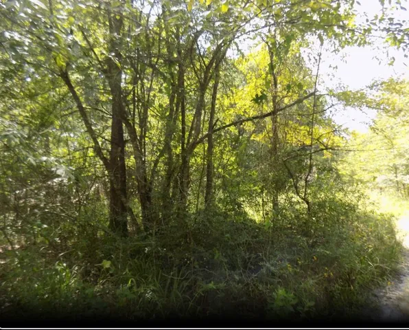 $15,000 | 0 Winding Crk Drive, Trinity, TX 75862