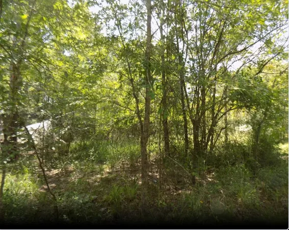 $15,000 | 0 Winding Crk Drive, Trinity, TX 75862