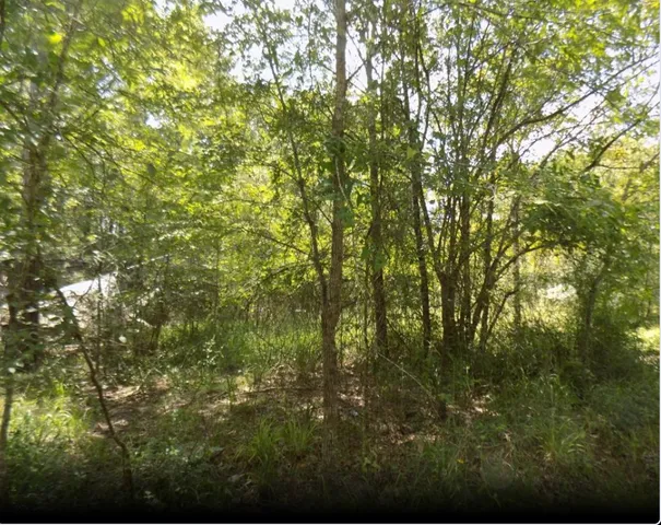 $15,000 | 0 Winding Crk Drive, Trinity, TX 75862