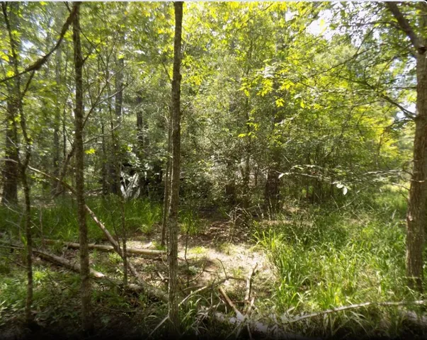 $15,000 | 0 Winding Crk Drive, Trinity, TX 75862