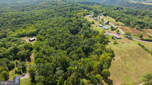 a view of a big yard with plants and large trees
