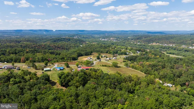 a view of a city with lush green forest