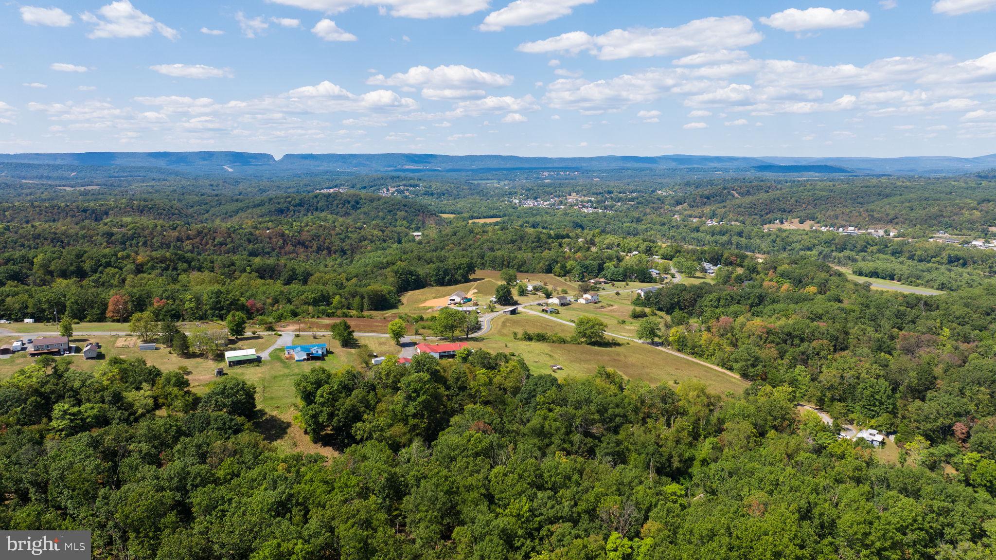 5386 Pious Ridge Road Berkeley Springs, WV 25411 - Photo 12 of 20 a view of a city with lush green forest
