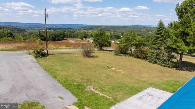 a view of a garden with an ocean