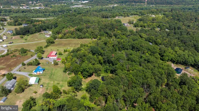 a view of a lush green forest with lots of trees