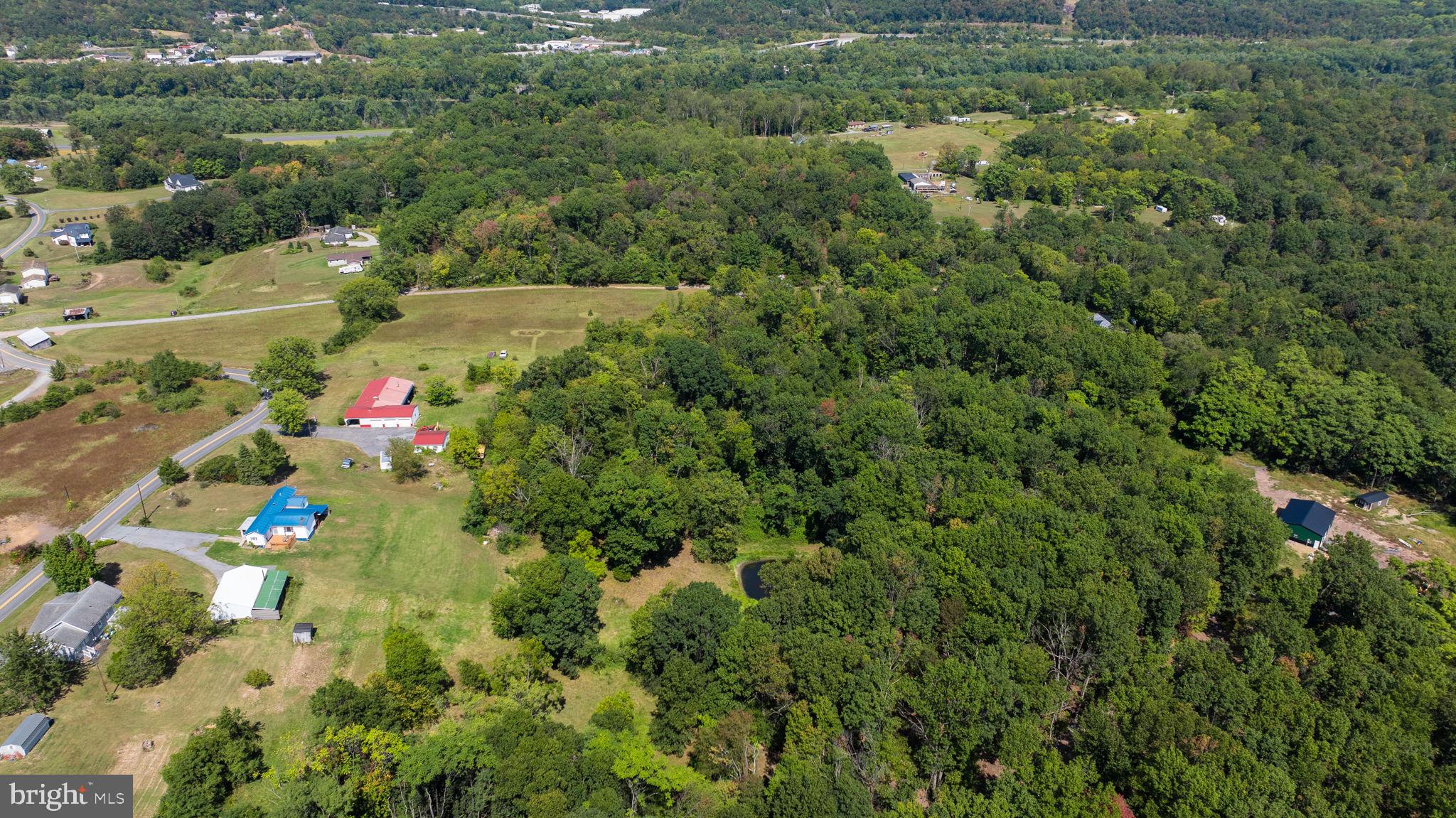 5386 Pious Ridge Road Berkeley Springs, WV 25411 - Photo 4 of 20 a view of a lush green forest with lots of trees