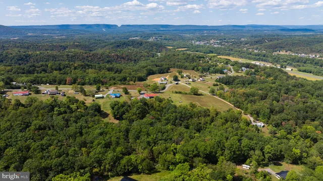 a view of a city and mountains