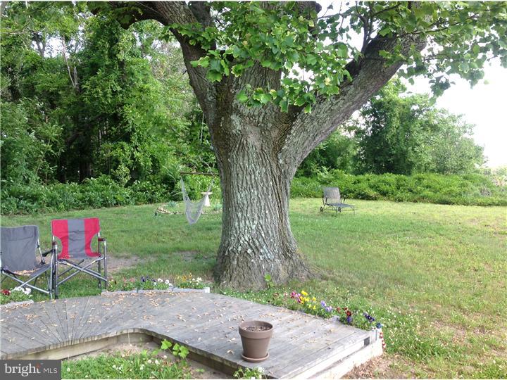 318 Old Forks Road Hammonton, NJ 08037 - Photo 18 of 18 Gallery Image 18