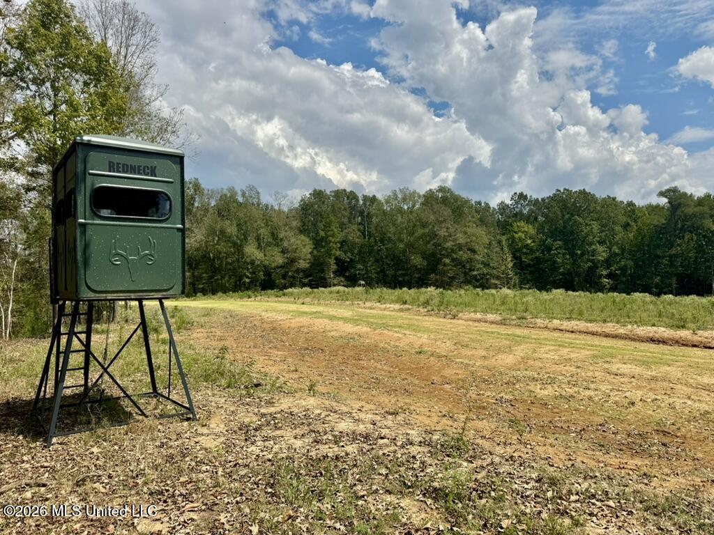 1 Chapel Hill Road Utica, MS 39175 - Photo 91 of 107 0A6AF76D-41B9-48D9-AE25-9CFA7CEB724D_1_1