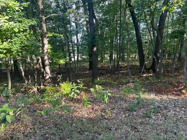 $449,900 | 10022 South Rebecca Road, Baldwin, MI 49304