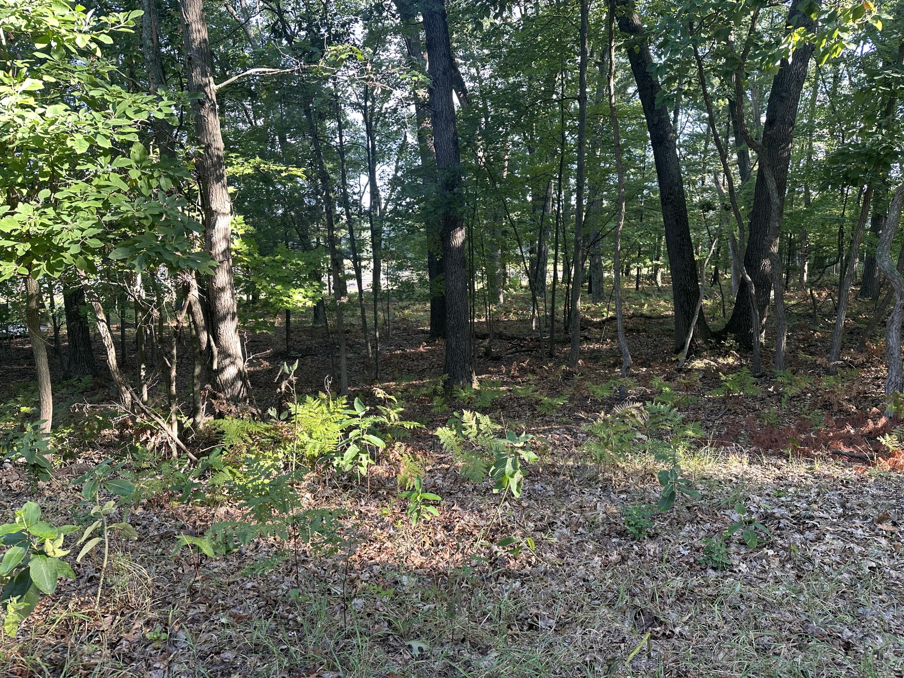 10022 South Rebecca Road Baldwin, MI 49304 - Photo 114 of 117 IMG_7299