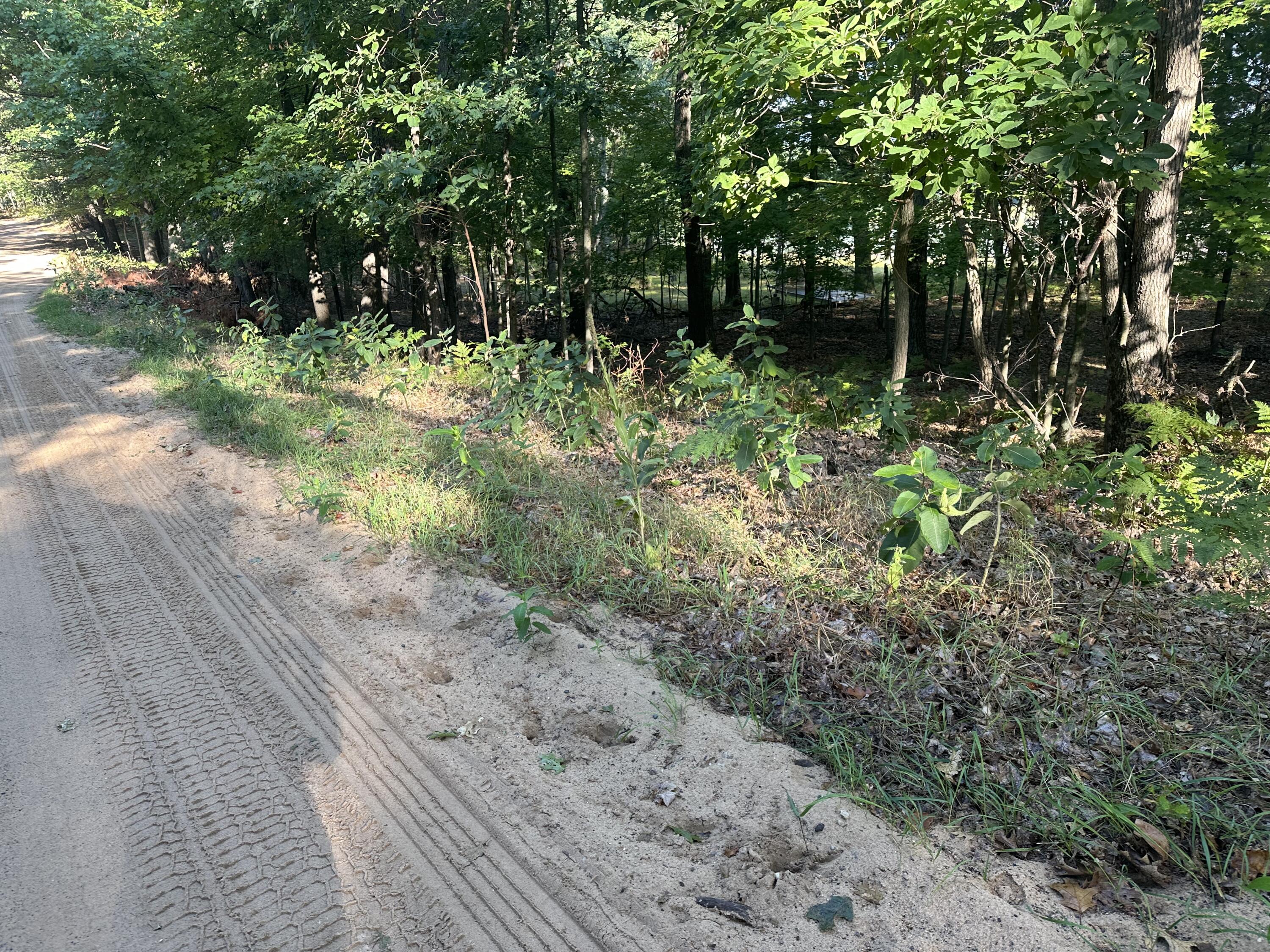 10022 South Rebecca Road Baldwin, MI 49304 - Photo 115 of 117 IMG_7300