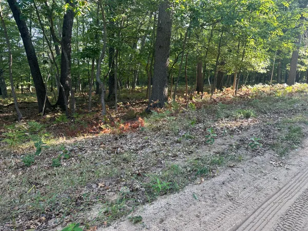 $449,900 | 10022 South Rebecca Road, Baldwin, MI 49304