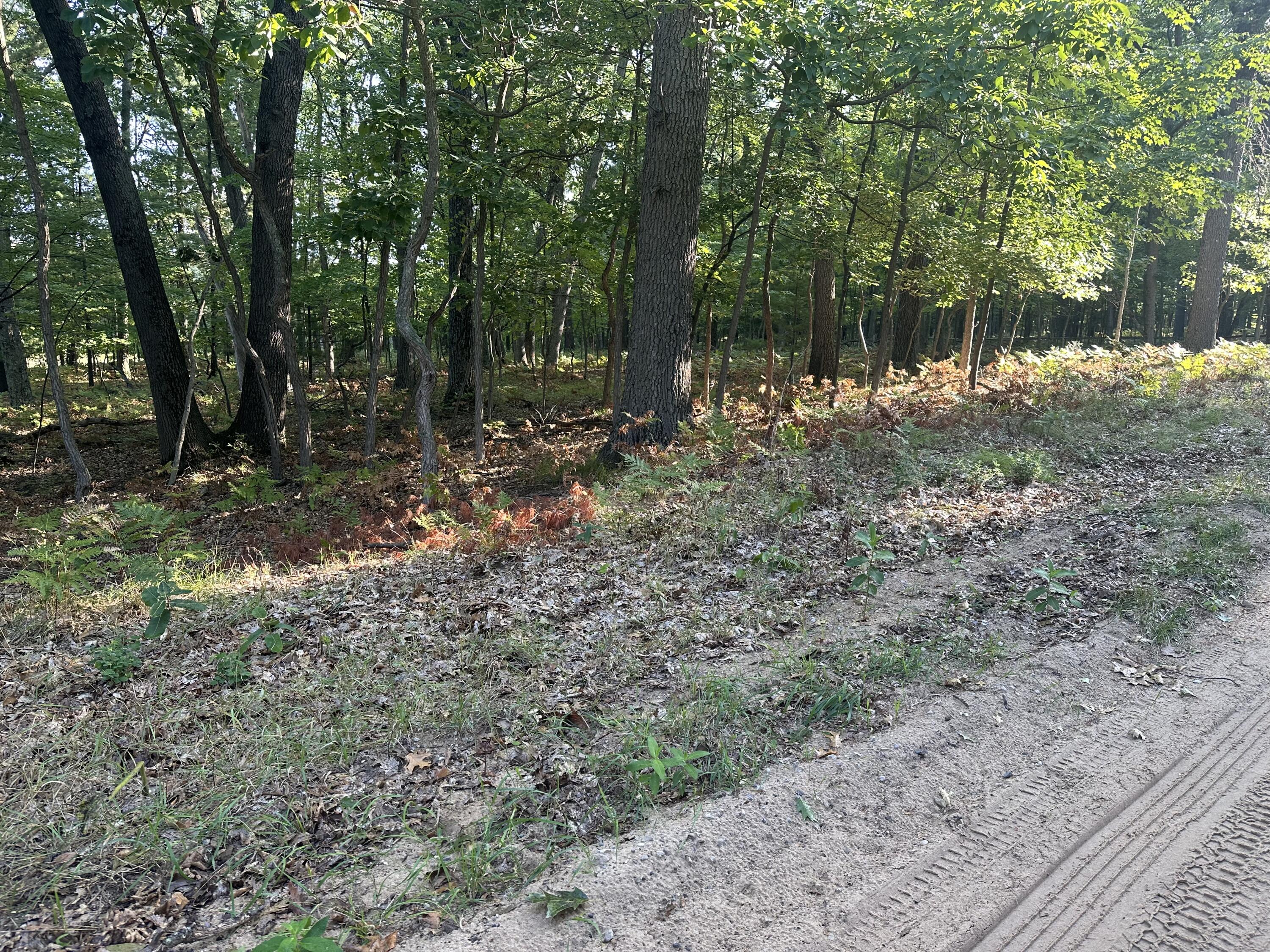 10022 South Rebecca Road Baldwin, MI 49304 - Photo 116 of 117 IMG_7301