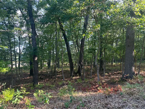 $449,900 | 10022 South Rebecca Road, Baldwin, MI 49304