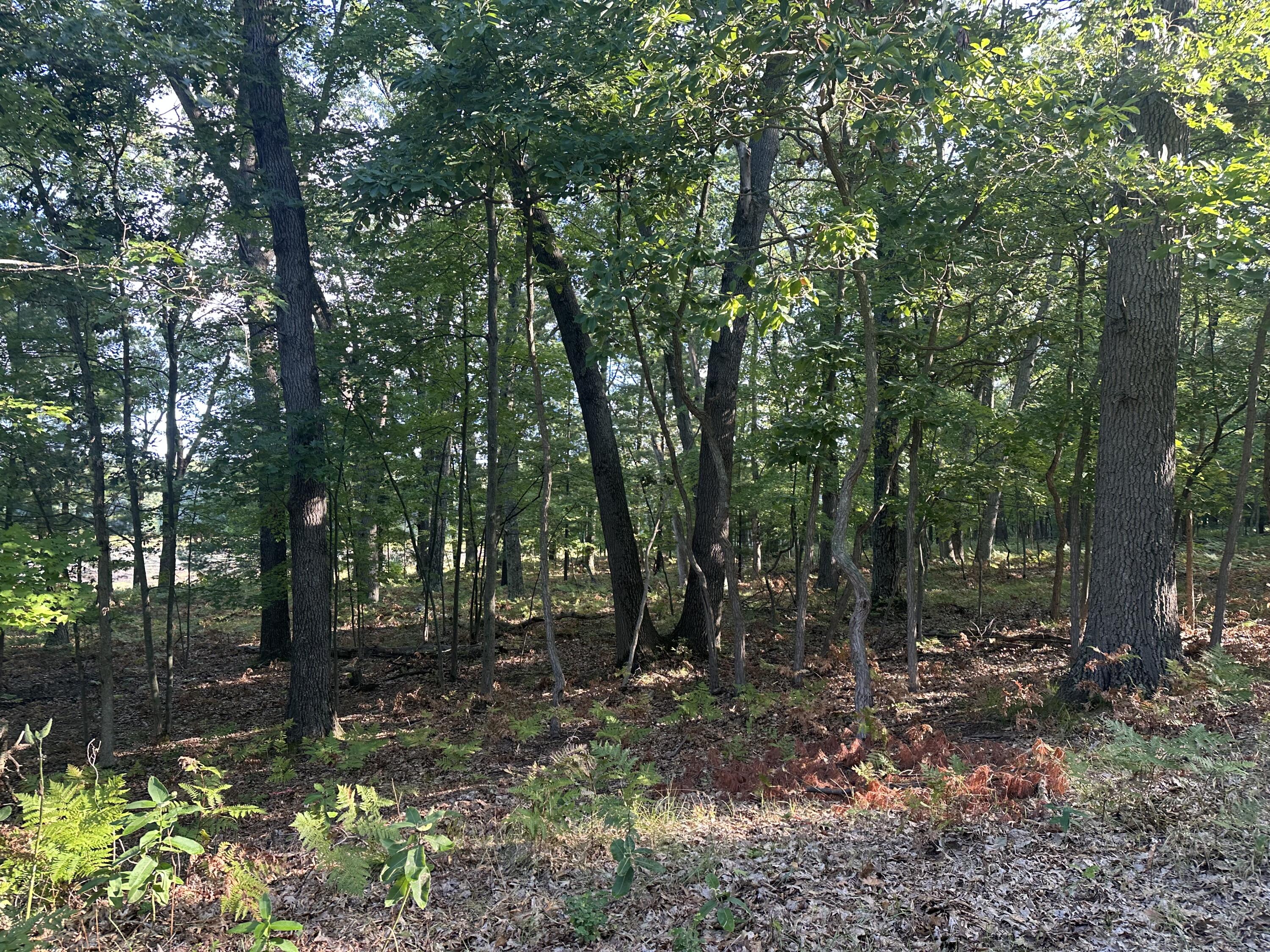 10022 South Rebecca Road Baldwin, MI 49304 - Photo 117 of 117 IMG_7302