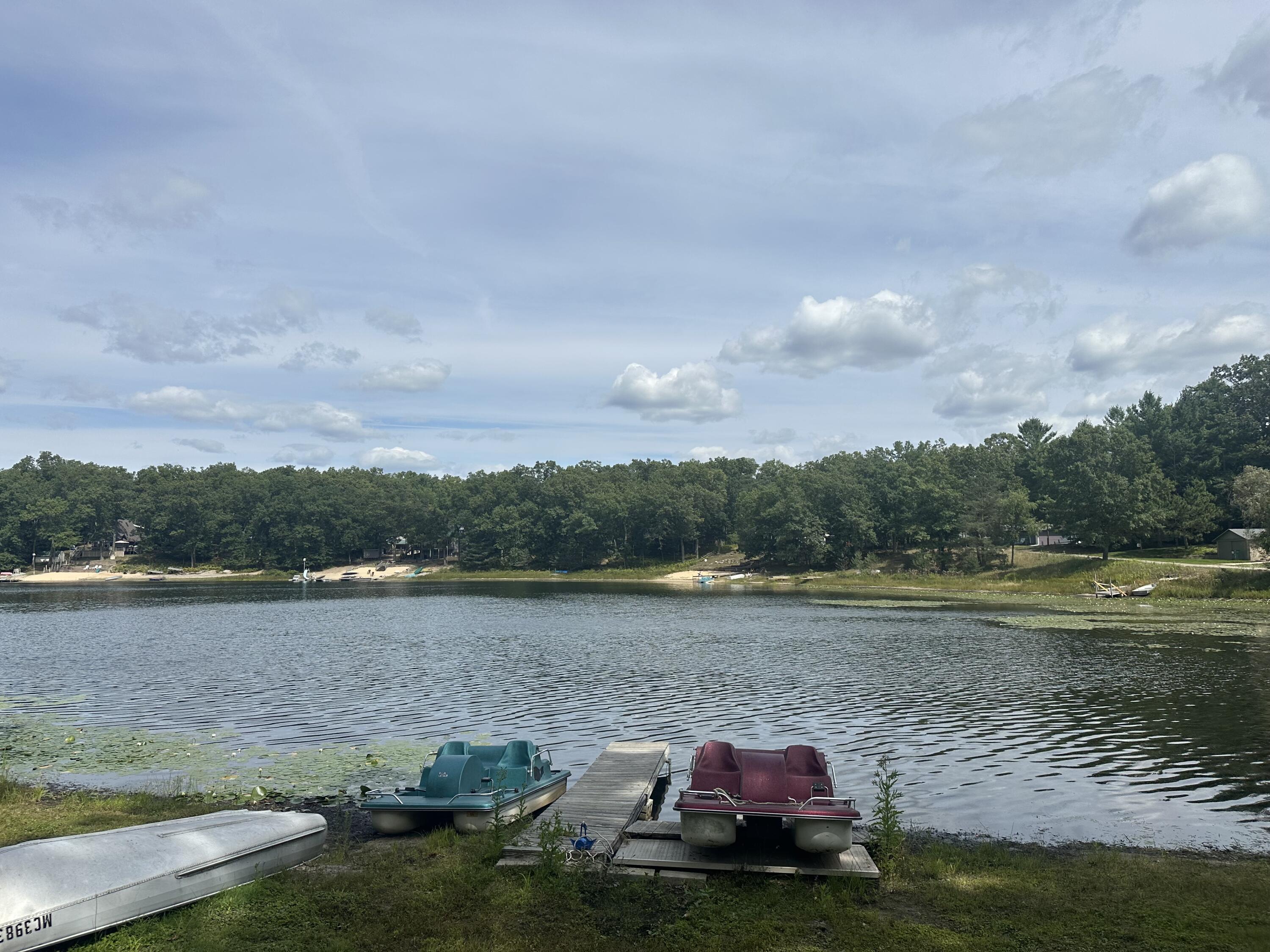 10022 South Rebecca Road Baldwin, MI 49304 - Photo 20 of 117 Lake