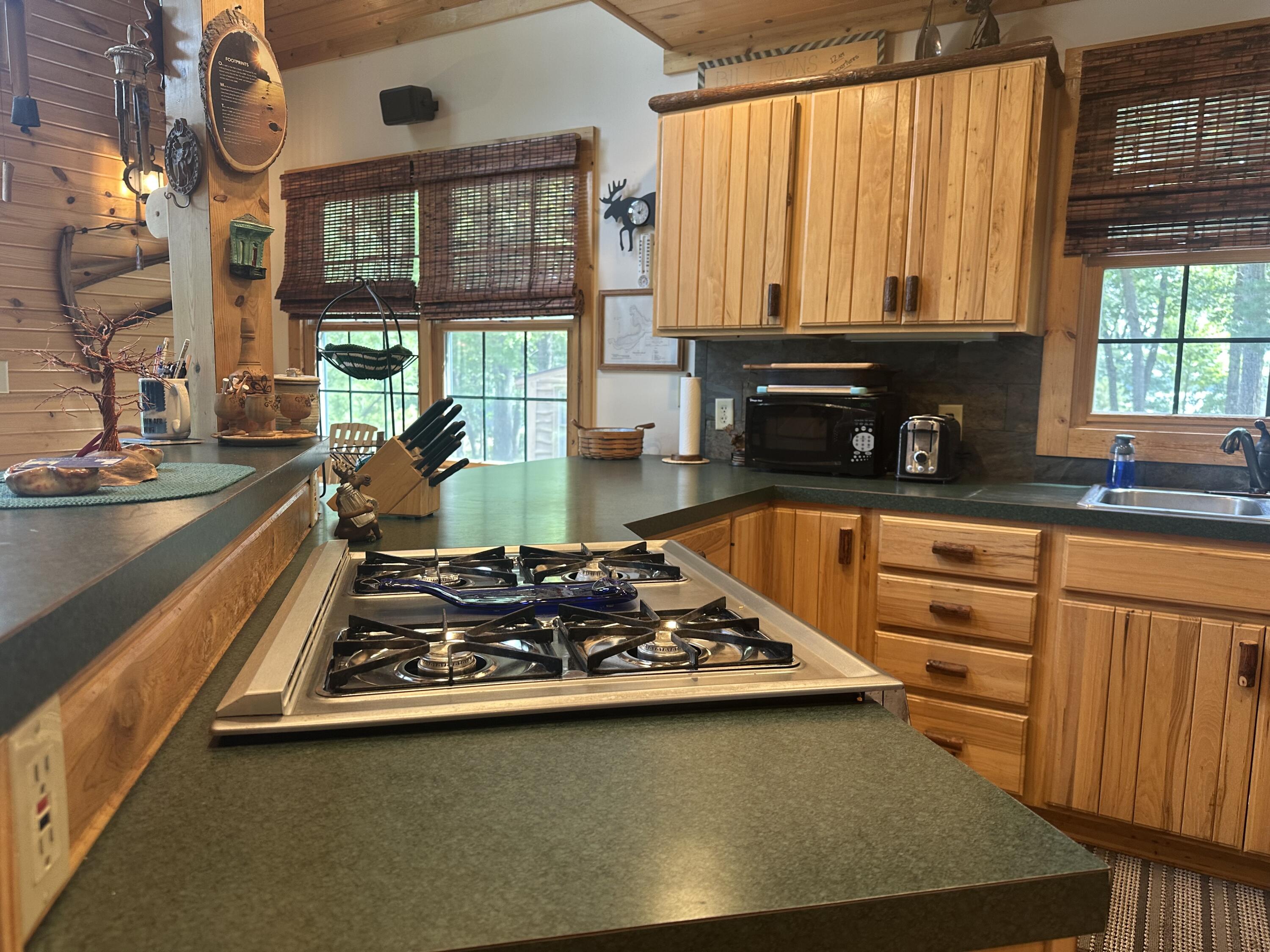 10022 South Rebecca Road Baldwin, MI 49304 - Photo 41 of 117 IMG_7221